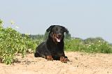 BEAUCERON 048